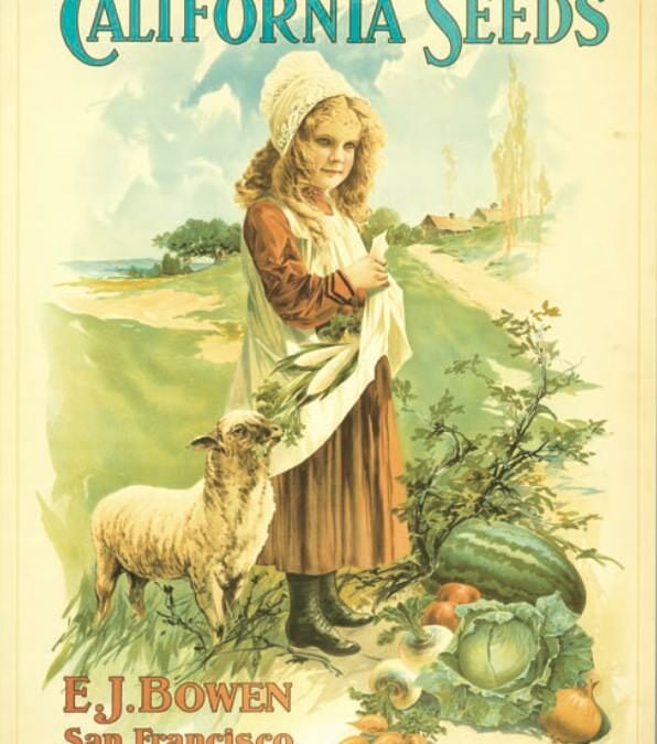 Bulletin 73